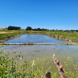 Voyage Scolaire Linoa 2022